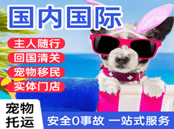 嫩江墨尔根航空快递国际宠物托运 【国